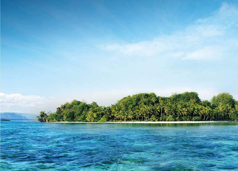 威客电竞·(中国)VKGAME