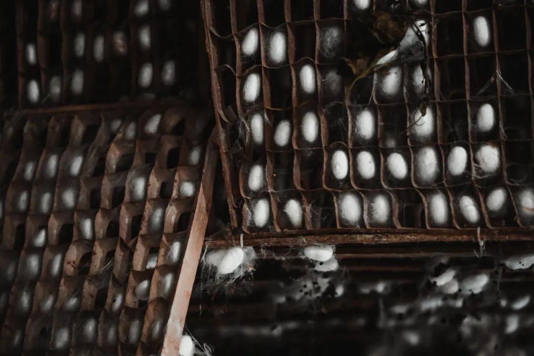 图片6-20220224145034755