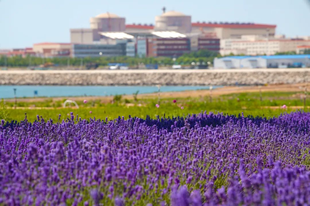 图片1-20220325115446978