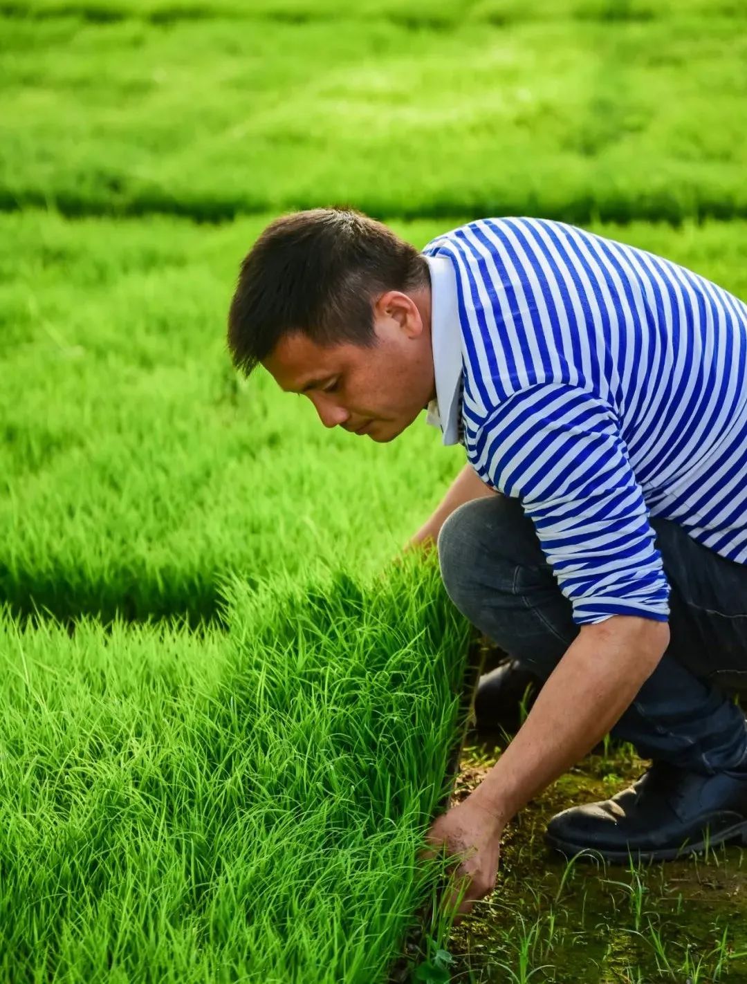 图3-20220725170834966