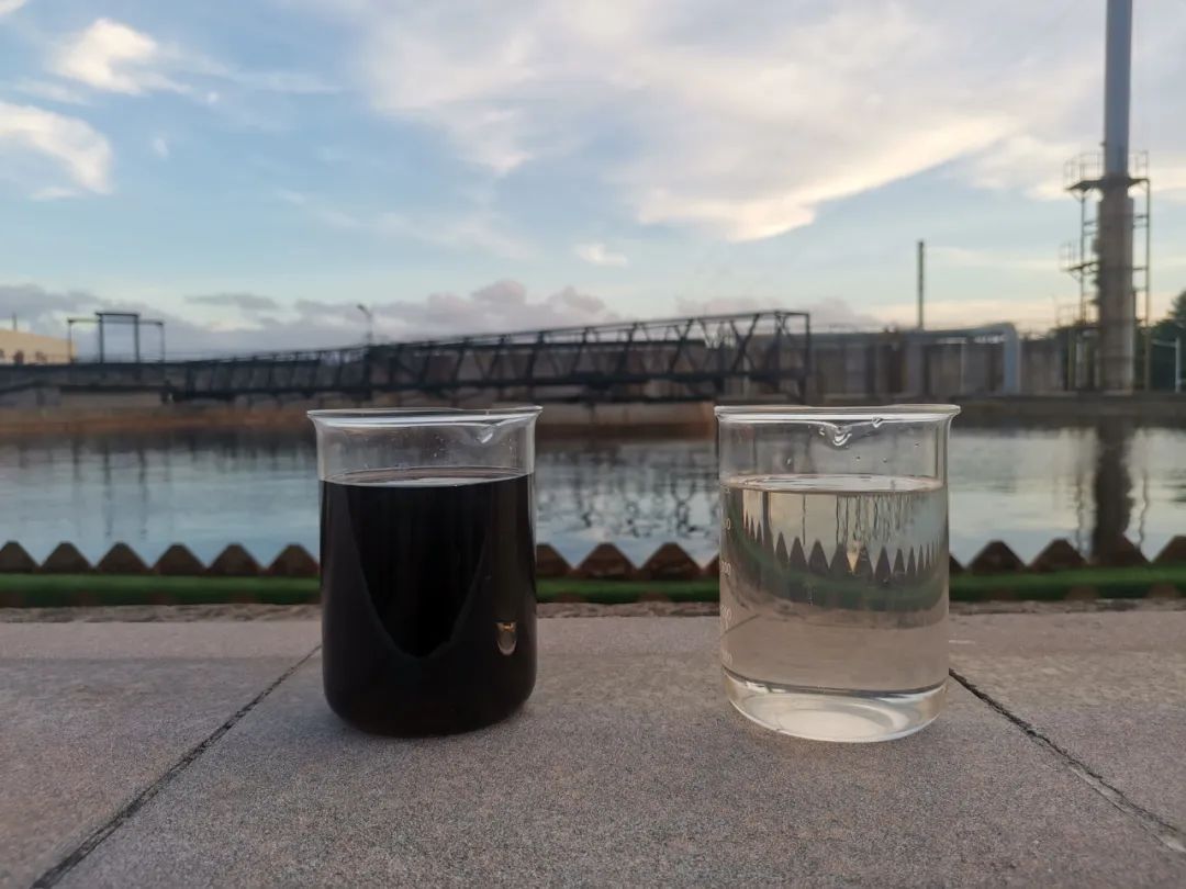 12-20230302105421748