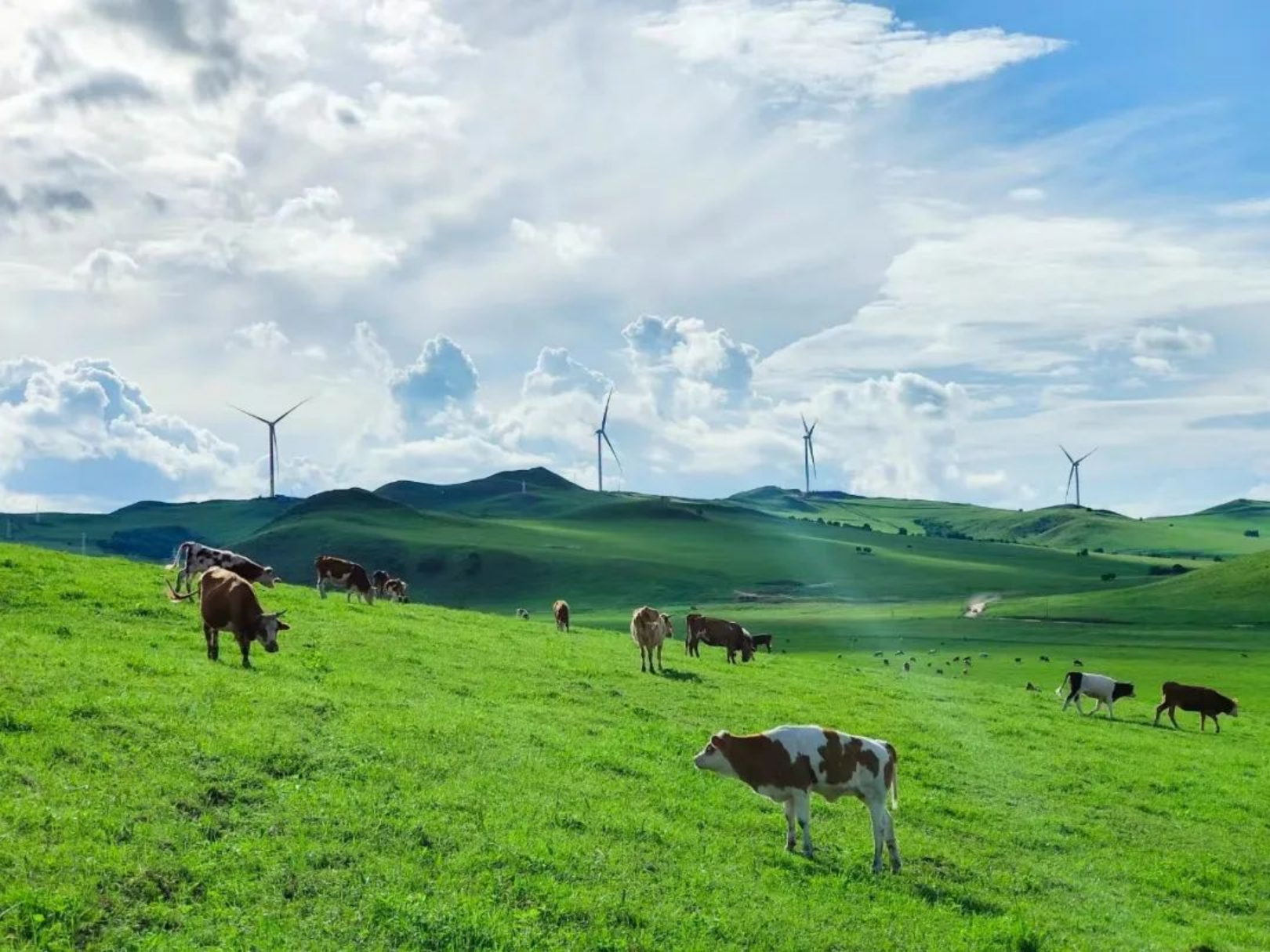 20240307145405118005