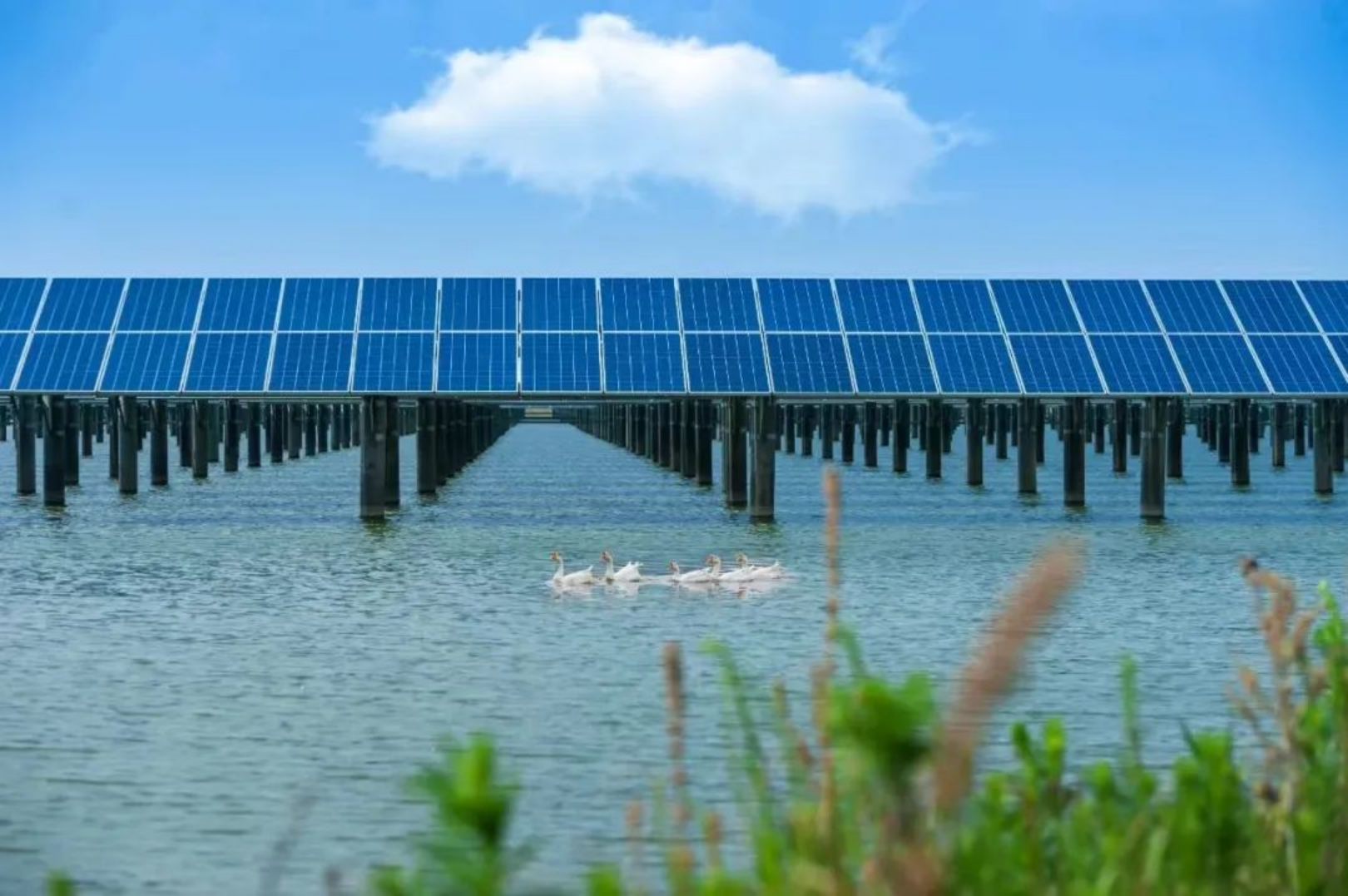 20240307145409749007