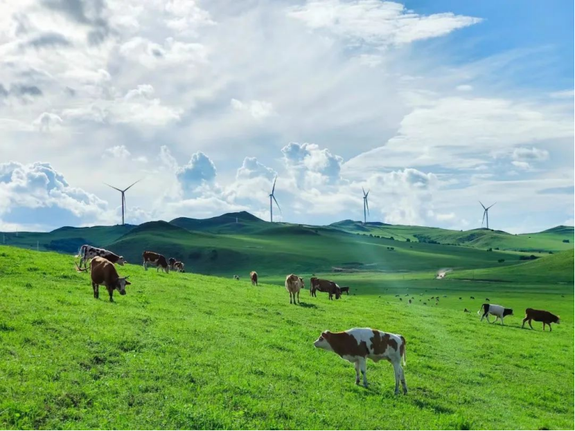 20240322164438772005