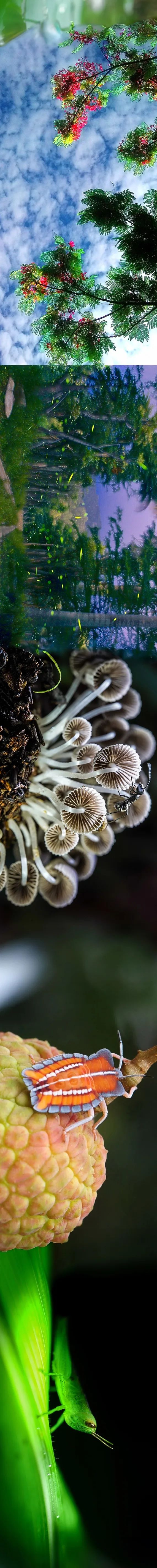 20240614090504240030