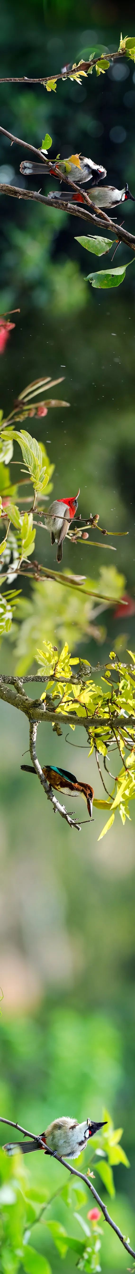 20240614090504311031