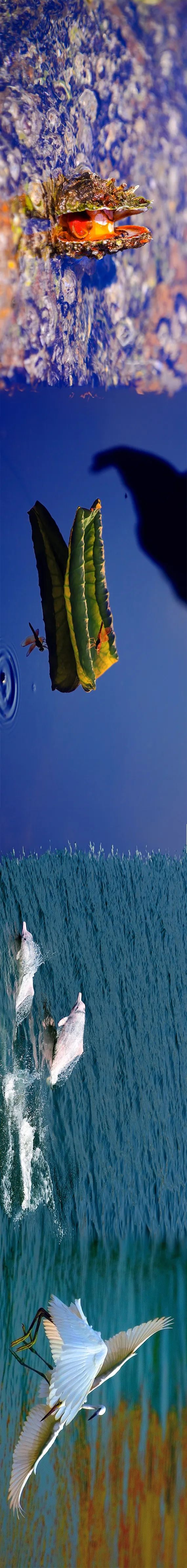 20240614090505674034