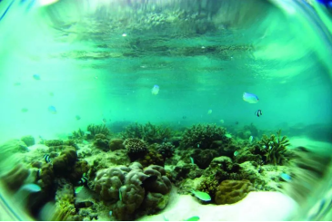 20240705151437225003