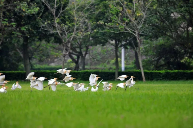 20240705151437723004