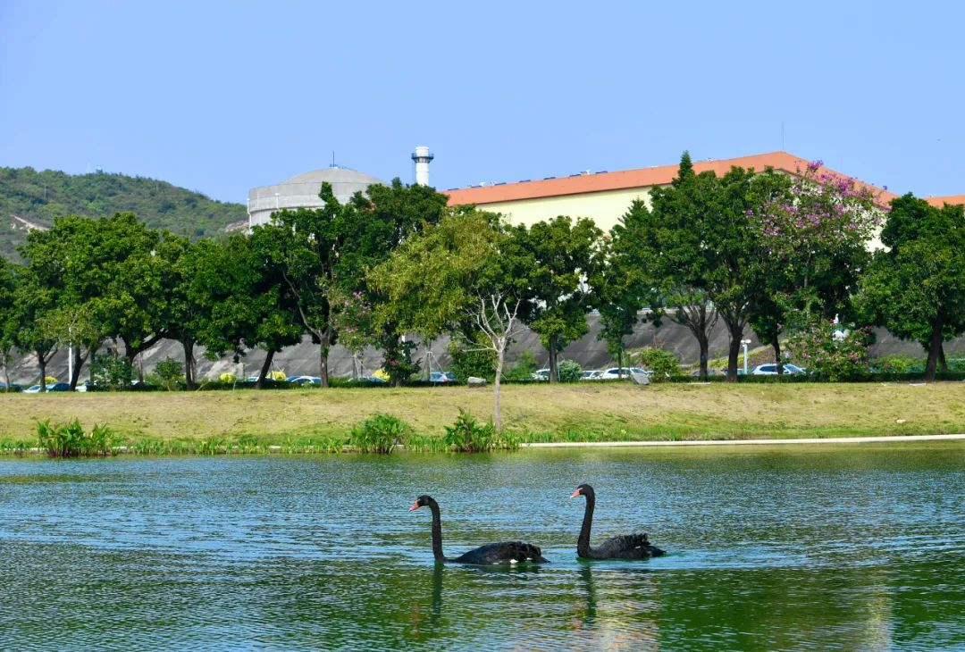 20240726100100811005