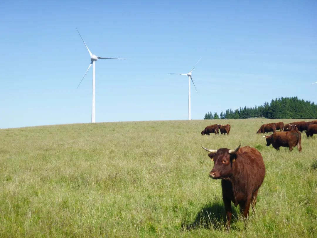 20240816172718495004