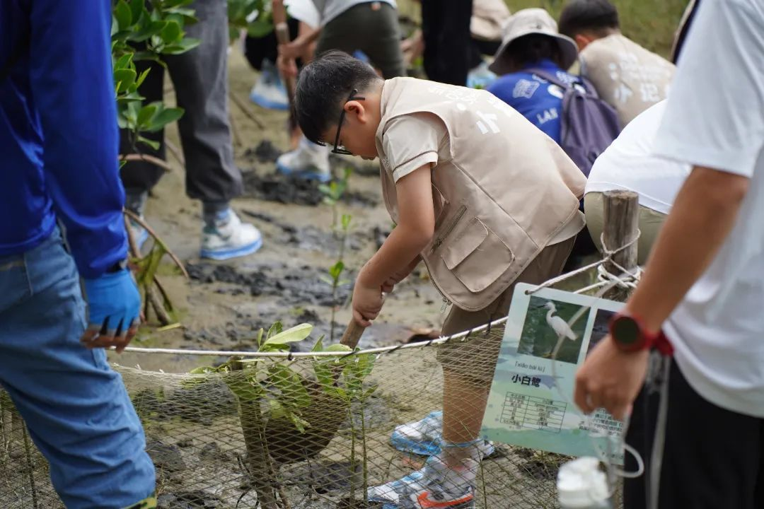 20240906104419353029