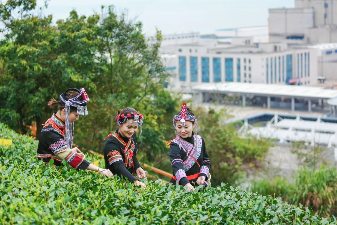 20241030162808780003