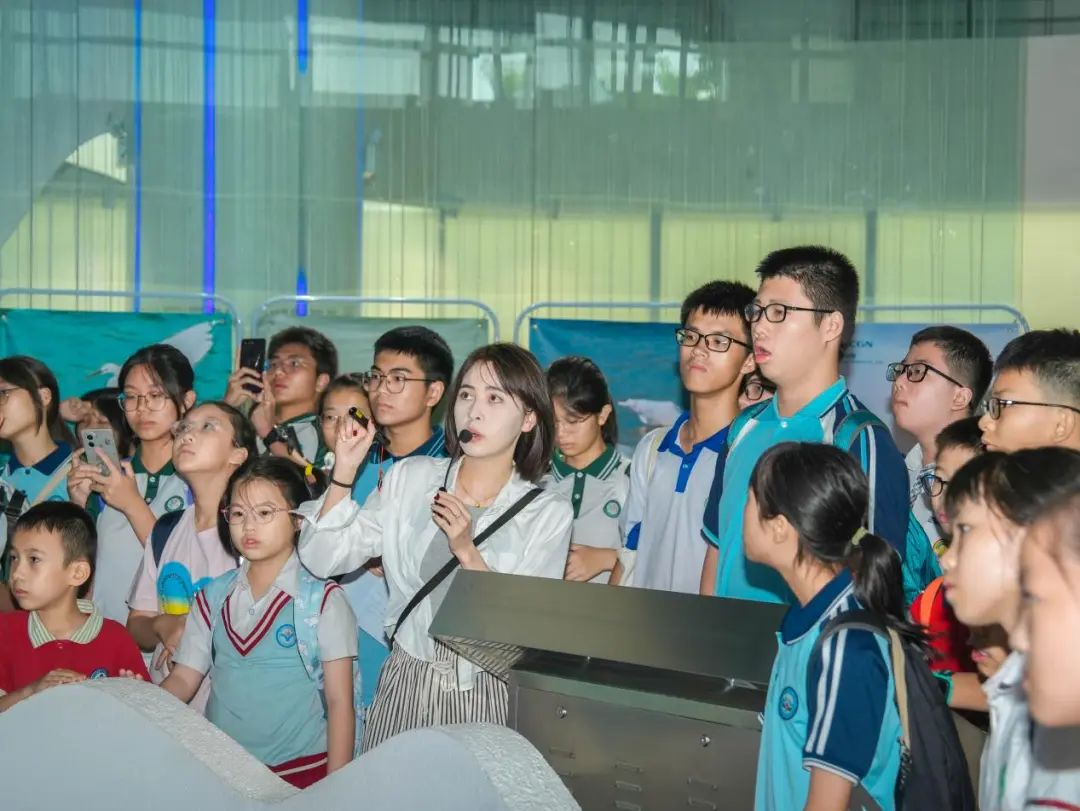 20241115170933730003