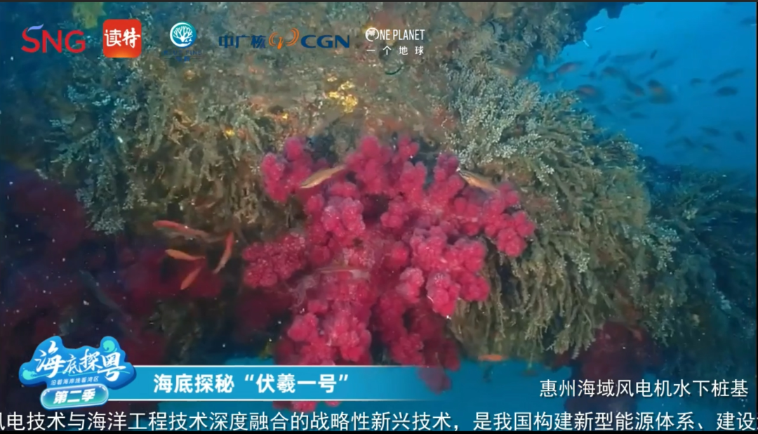 20241220155853255004