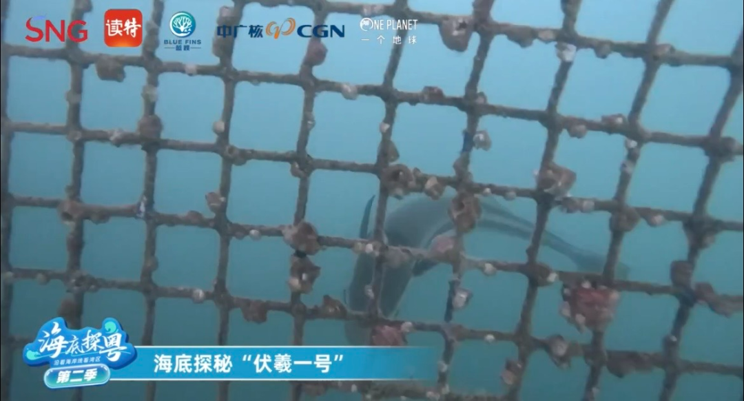 20241220155854225005