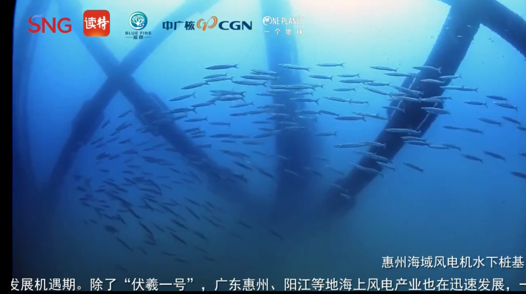 20241220155855674007