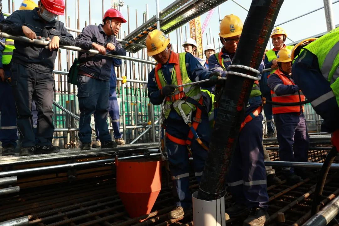 20241220165549936002