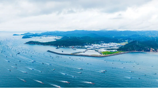 20250115110209260007