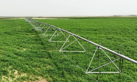 20250115092501536009