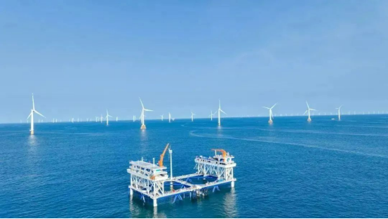 20250115092502493010