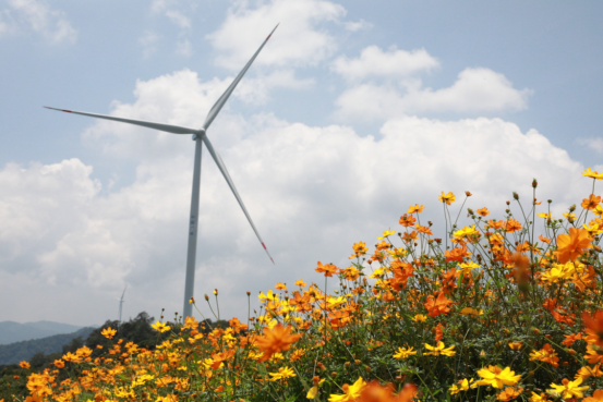 20250123194631674001