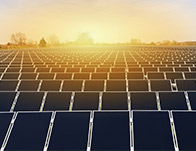 11ab8a5edb6e4de9a70f4b25d7e91797