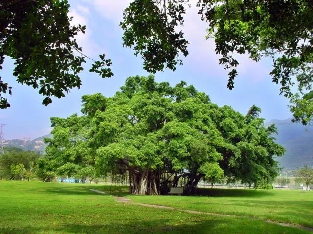 3c1776f5b0ba41bda481e558a82c30bb