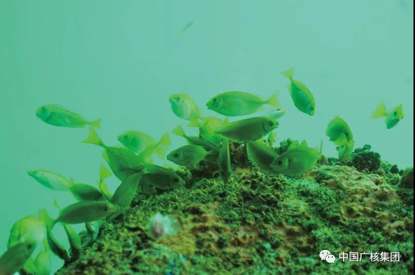 187e4177d5cf4600bab8bc1ffd4e0913