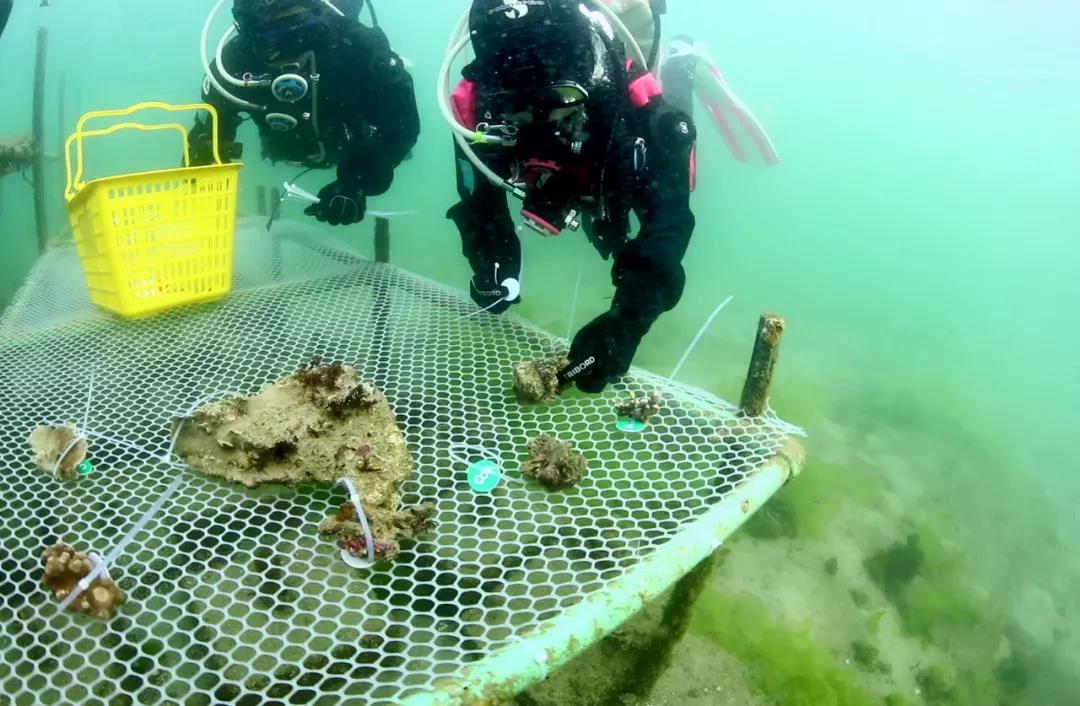 2a9accc13705478b9aa2288d5bc04d15