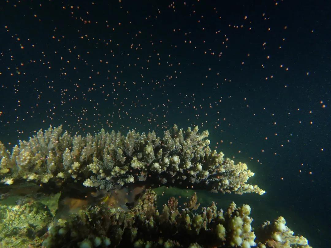 503faecbf1dc413b8491e243e9289dcd