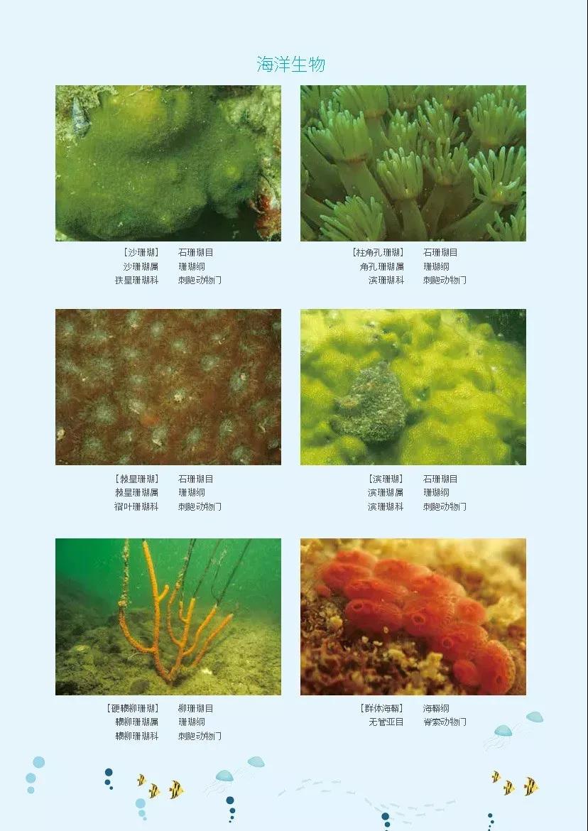 6801485f485649848dafd62340d4c3db