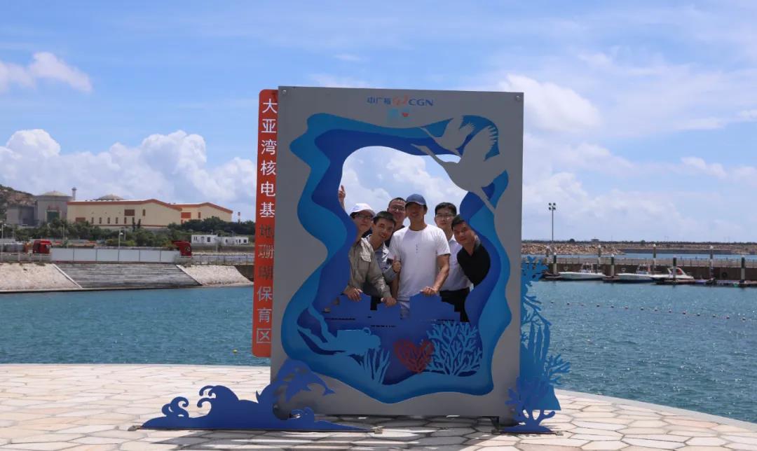 0d11a19999204dd79ce1ce8a2e807b82