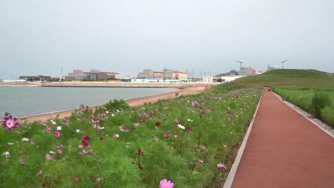 78f08c13ed08482a9cdeeb722e51fed2