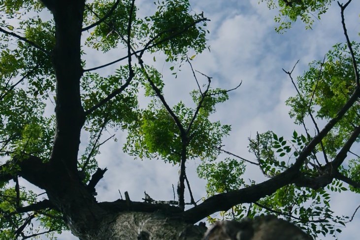 d150e74a35574e268ad34a409f93d72f