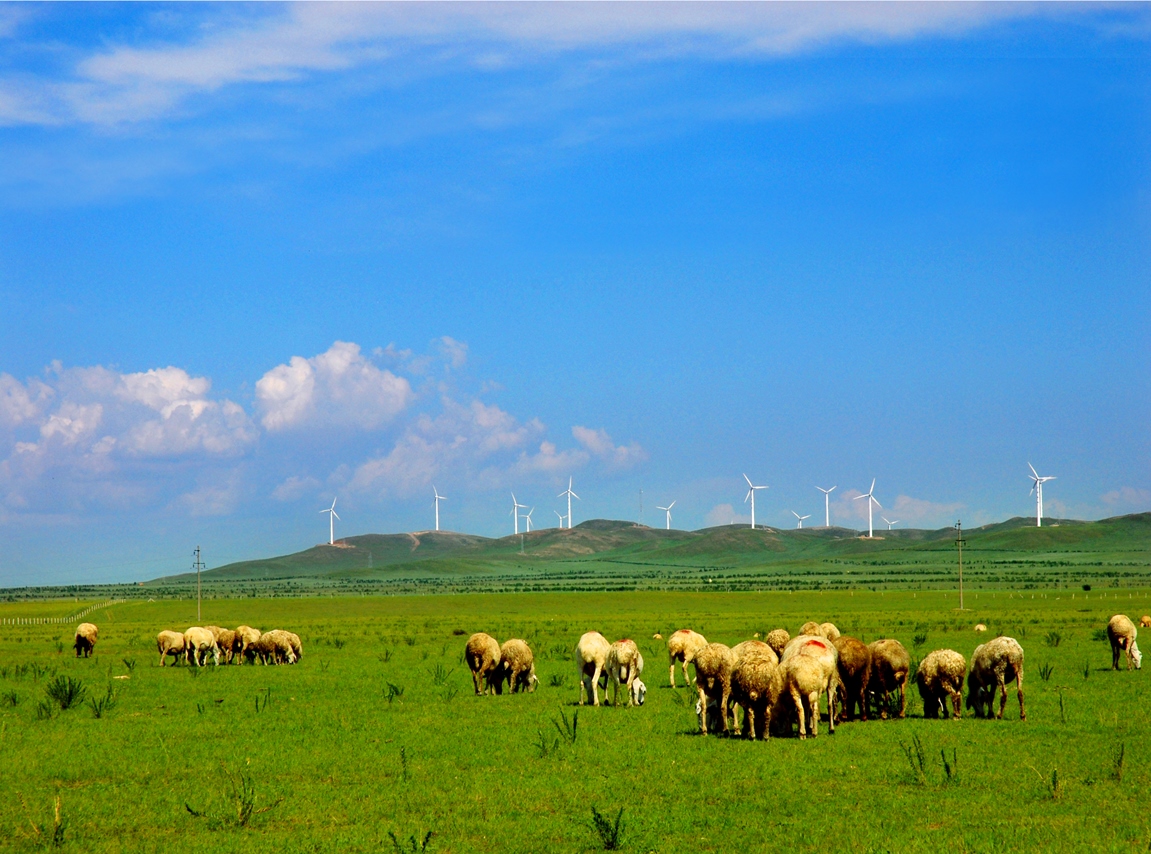 威客电竞·(中国)VKGAME