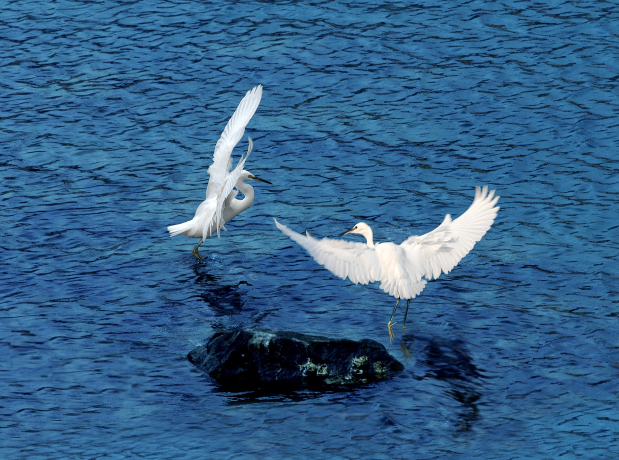 威客电竞·(中国)VKGAME