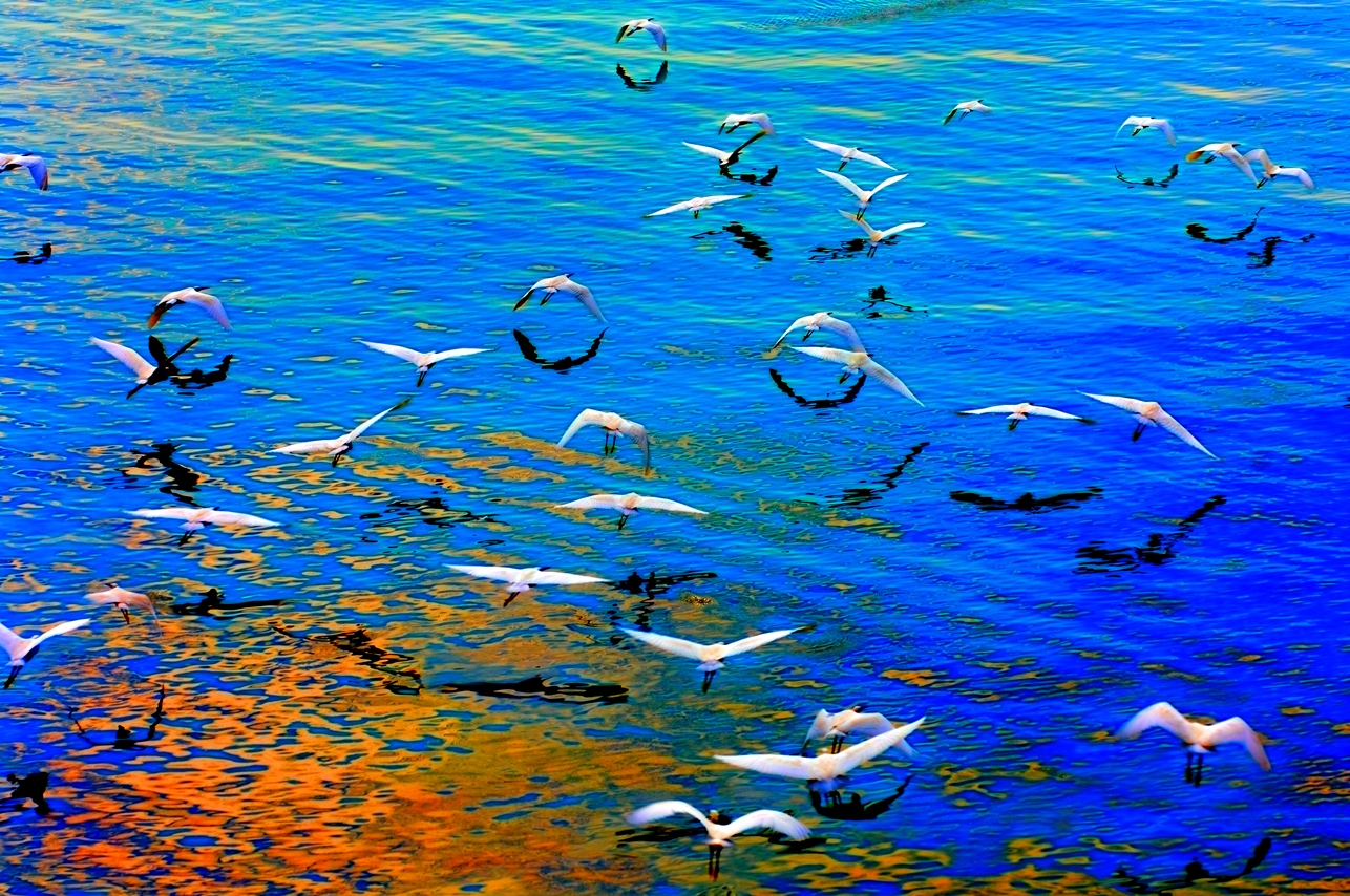 威客电竞·(中国)VKGAME