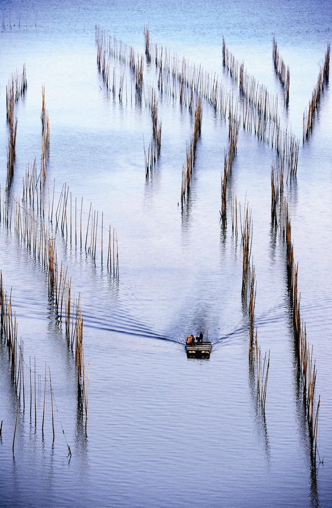 威客电竞·(中国)VKGAME