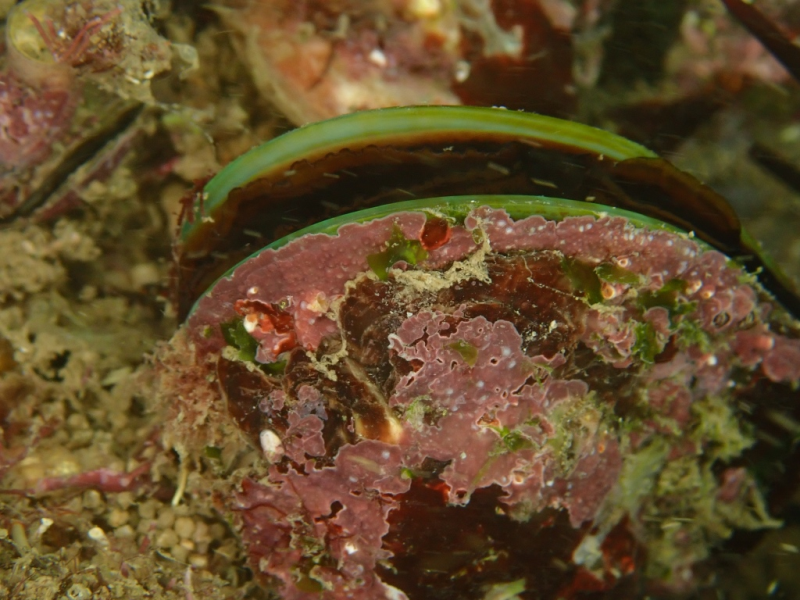 654ac5b1cd9449bfa0b406616e5072a3