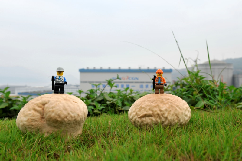 47ca5ea0876143b9accf4046ebb7008b