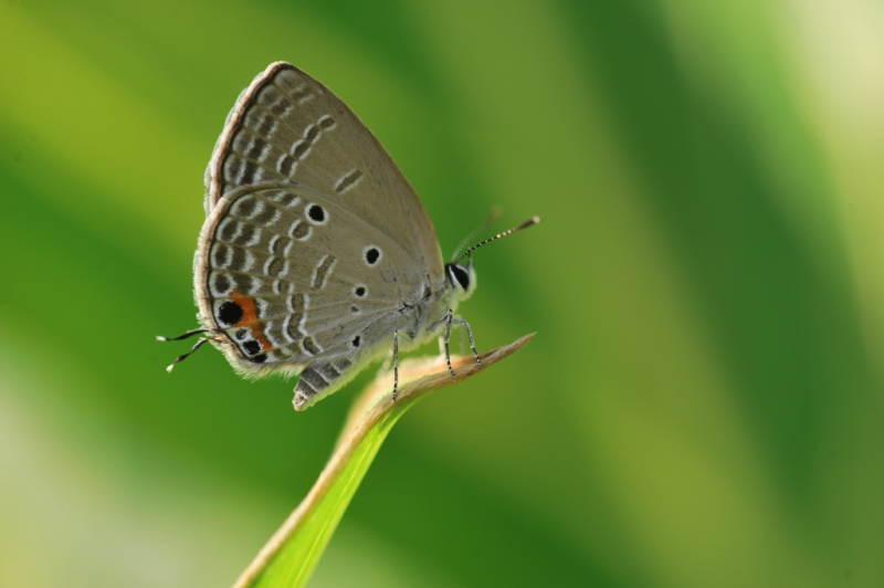 1554eb92fa4049d59272a0243381fb72