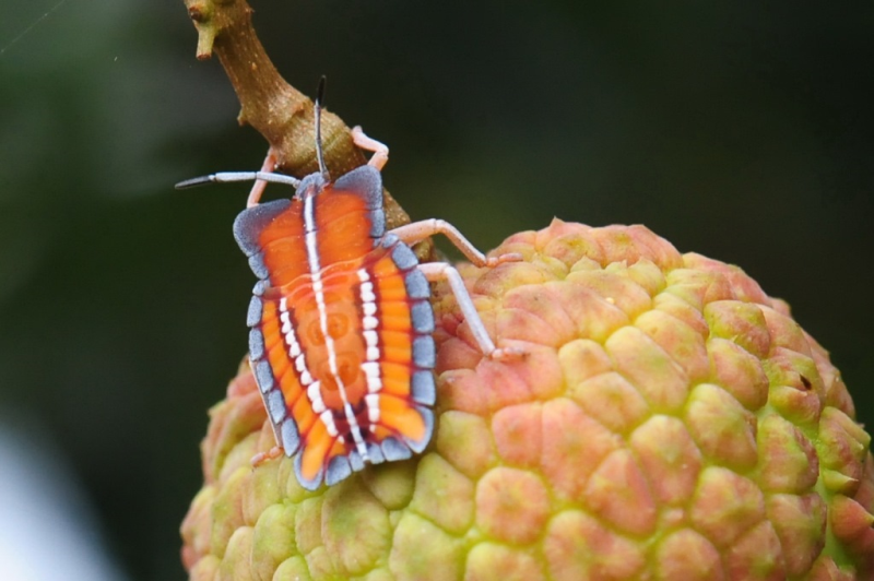 1dfcd7a65222457d97aa6978c122fb2d