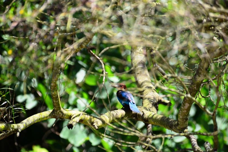 9566b084f1144a1e9979226b39995be1