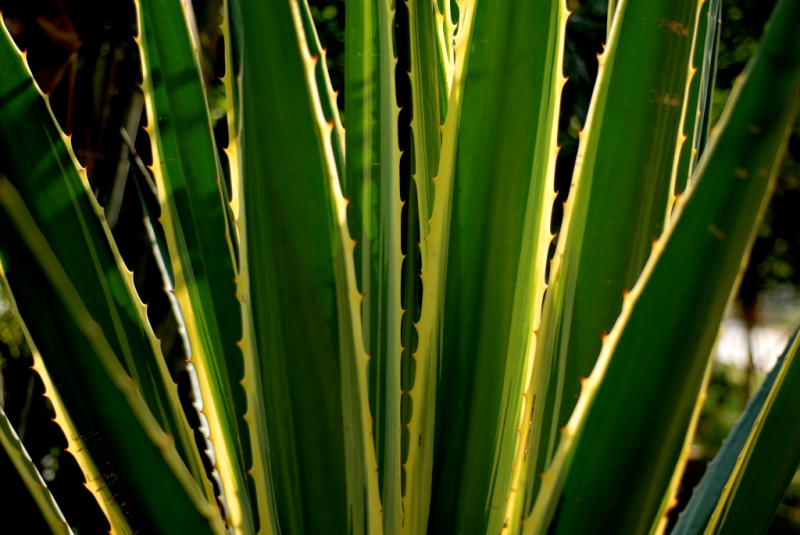 e0a86563120a4f9f9da22947422c4e68