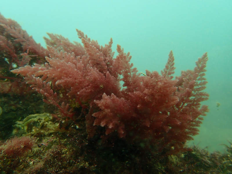 5fe1acaba4f2466a964eba7b0afd67df