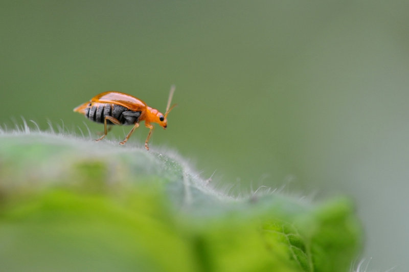 360982aef48c44e7ab275943f314961b