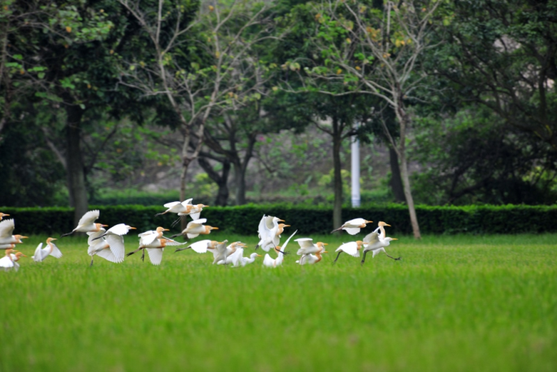 486988baced345f59d5801ae7a2f0a94