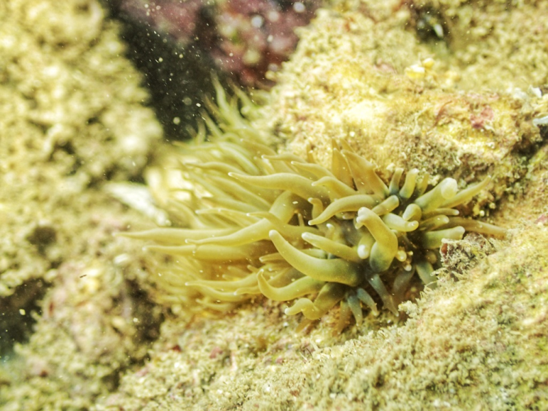 7e4984ee0e1645d6b665632165007929