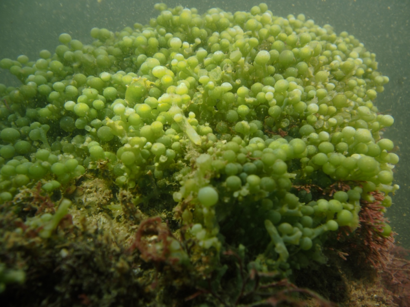 d4d98c1c41b34e27a15b4f00db74ee9e